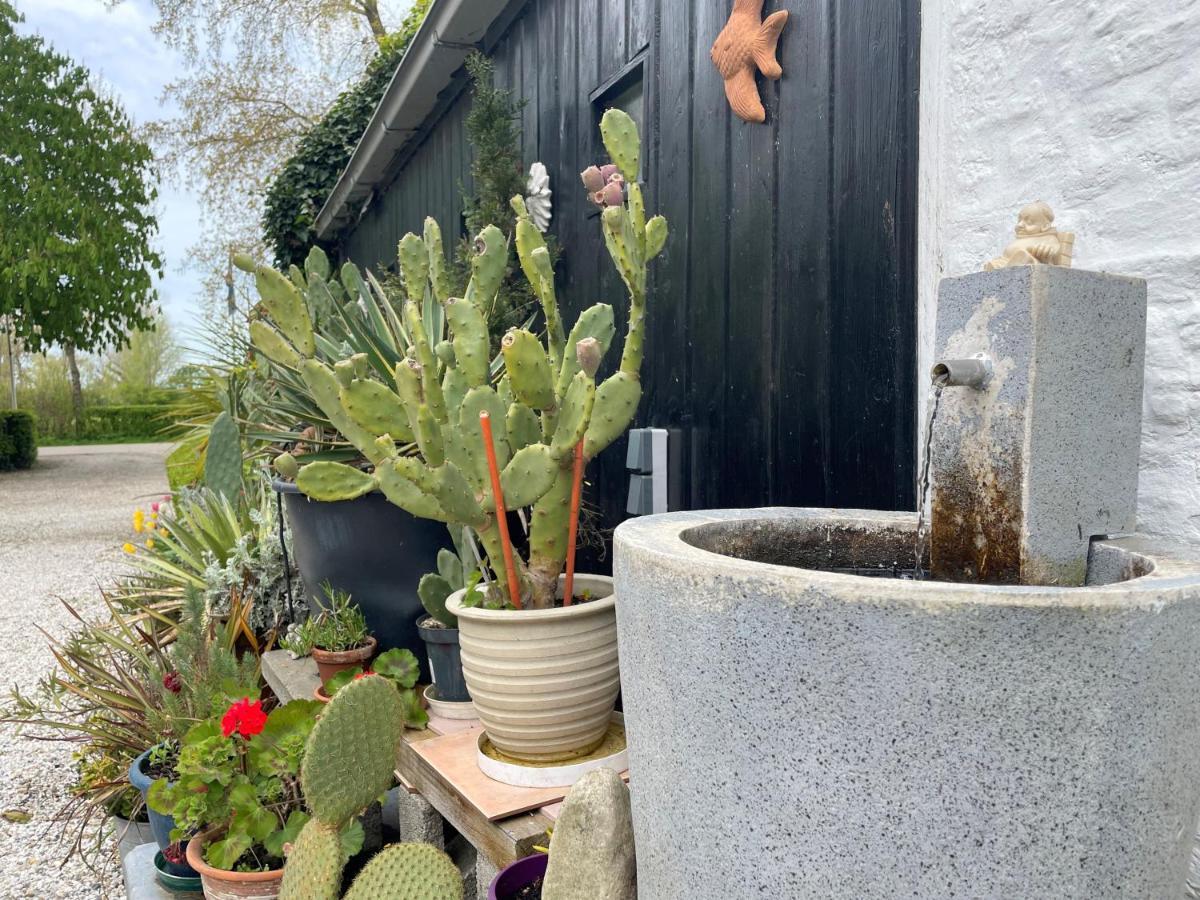 Vakantieoord "De Peppelhoeve" カウデーケルケ エクステリア 写真